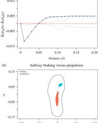 Hallway Braking Versus Propulsion
