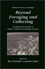 Beyond Foraging and Collecting cover image