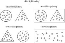 Disciplinarity Chart