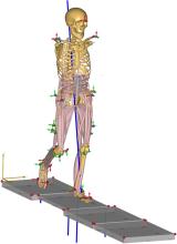MoCap model mid-simulation of walking