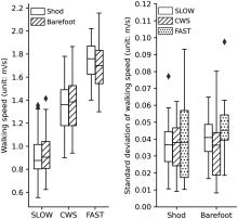 Walking Speed Alters Barefoot Gait Coordination and Variability