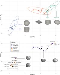 A. UMAP plot showing distinct clusters of shapes derived from SPHARM. B. UMAP plot of SPHARM-derived shape features colored by types. UMAP plot axes represent relative positions in a reduced-dimension morphospace and do not have a direct physical interpretation.