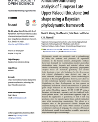 A macroevolutionary analysis of European Late Upper Palaeolithic stone tool shape using a Bayesian phylodynamic framework title page