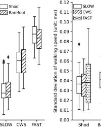 Walking Speed Alters Barefoot Gait Coordination and Variability