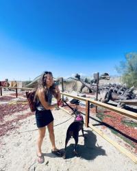 Woman with dog in front of dinosaurs.