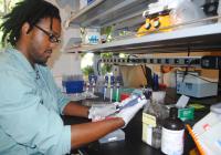 Photo of Julius Doyle at work in the lab