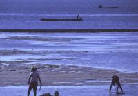 Boats wait offshore as workers break coral from the Dobo mudflats, and collect clams at the same time. 