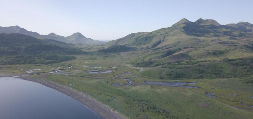 Aerial photo of Tanginak Anchorage. Ing'yug archaeological site is located on the small mound in the foreground, behind the beach. (Photo credit: Ben Fitzhugh)